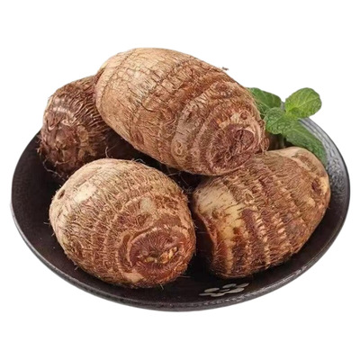 正宗云南牛奶芋头新鲜芋艿香甜软糯毛芋头小芋头香芋包邮