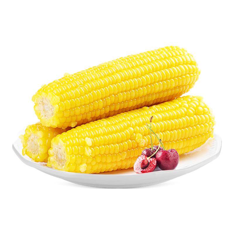 东北糯玉米甜糯黄玉米棒新鲜香甜玉米低脂大棒真空代餐整支包邮