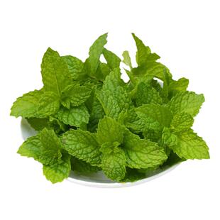 新鲜薄荷叶食用泡水商用装饰烘焙调酒水吧鸡尾酒留兰香薄荷叶500g