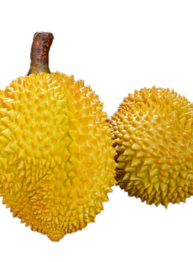 榴莲火龙果菠萝凤梨摆件蔬菜模型