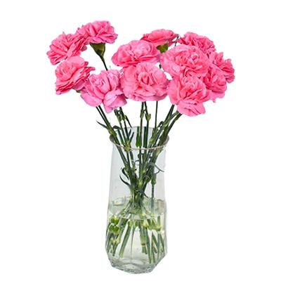 悦多彩AB级康乃馨鲜花母亲节送礼