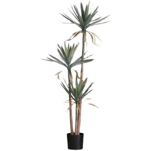 仿真绿植荷兰铁盆栽龙舌兰植物北欧客厅落地室内仿真装饰假绿植树