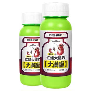 北禾溪流面筋饵红蛆虫马口饵料面筋野钓溪石斑溪流钓红蛆大满罐