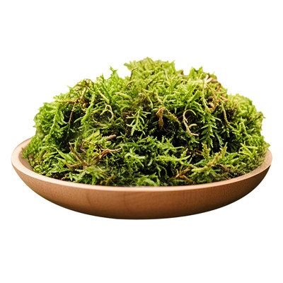 水苔蝴蝶兰专用水苔蝴蝶兰专用营养土青苔干苔藓兰花专用植料爬宠