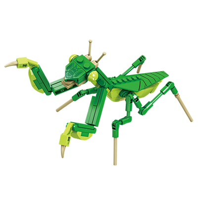 仿真昆虫益智拼装积木