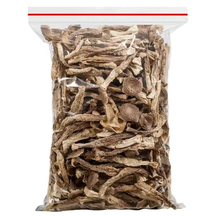 鹿茸菇干货500g鹿茸菌非特级野生菇蘑菇干煲汤干锅炖汤菌菇香菇