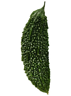 疙瘩蔬菜早熟特大苦瓜种子春季
