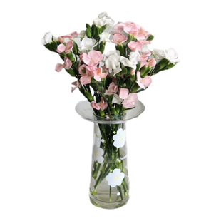 蝴蝶多丁康乃馨鲜花水养鲜切花瓶插花鲜花花卉基地直发母亲节鲜花