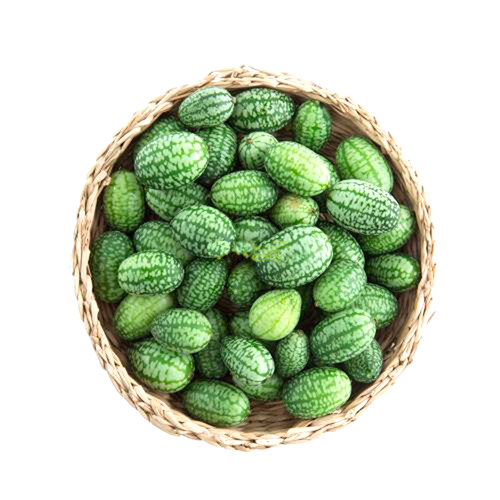 拇指西瓜种籽苗迷你小种子春季菜苗阳台盆栽水果四季蔬菜孑子秧苗