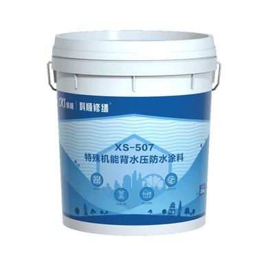 科顺广东背水面防水涂料