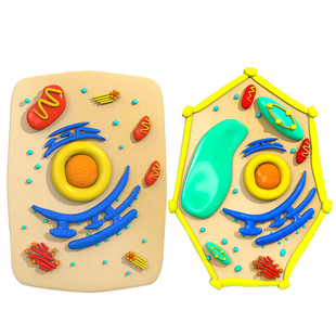 细胞模型制作材料生物作业动植物细胞模型手工制作材料包七年级上册初一细菌diy粘土自制初中生教具套装全套