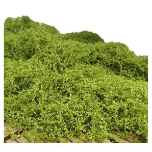 疏水透气丝绒毛线状仿真绿苔藓铺盆面装饰盆景盆栽造微景观假青苔