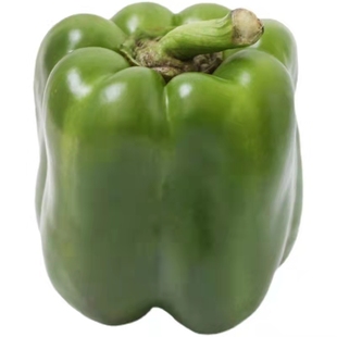 绿甜椒苗子青椒灯笼椒彩椒洪荒甜椒苗子秧苗种籽阳台盆栽高产蔬菜