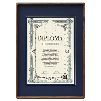 证书框挂墙a4实木证照相框定制海报装裱画框营业执照框奖状展示框