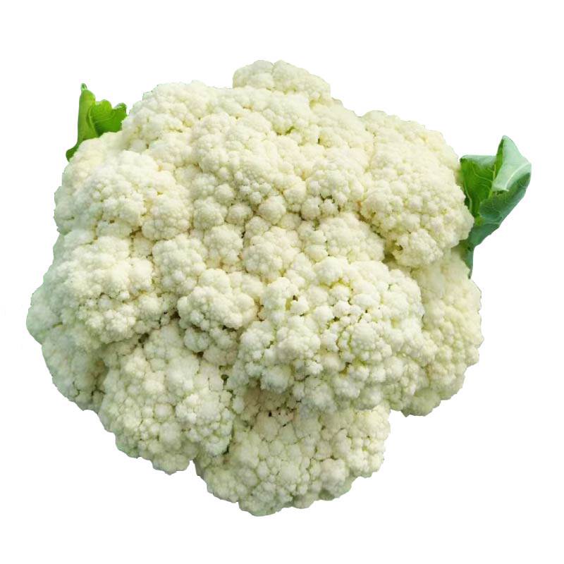 特大青梗松花菜花椰菜苗秧散花球西兰花紫花菜种子四季盆栽带土球