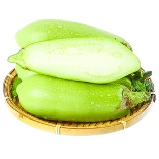 青茄子新鲜现摘河南当季农家绿青皮茄子5斤大圆茄子蔬菜可生吃