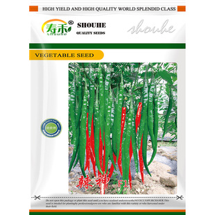 线椒种籽二荆条菜苗微辣辣椒树苗种子苗带土秧苗高产四季蔬菜孑青