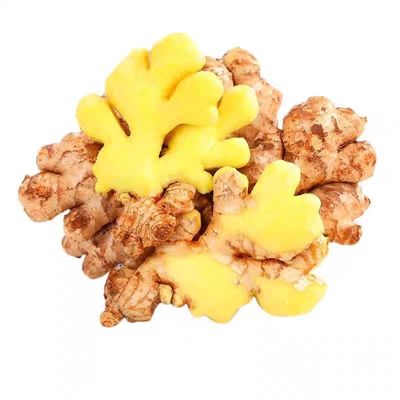 农场云南山地小黄姜新鲜生姜现挖老姜带土辛辣十足食用原产地炒菜
