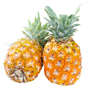 5斤海南金钻凤梨正宗特产水果手撕香水凤梨树上熟台农17号非菠萝