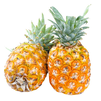 5斤海南金钻凤梨正宗特产水果手撕香水凤梨树上熟台农17号非菠萝