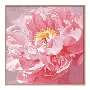2024年新款高级感轻奢牡丹花数字油画diy手工涂色丙烯油彩装饰画|