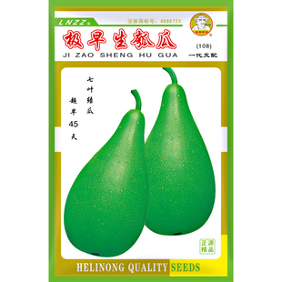 和利农 正源极早生瓠瓜种子圆瓠子瓠子瓜种籽超早熟高产甜蒲瓜孑