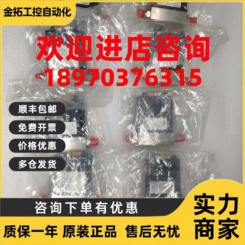 议价TYLAN 气体质量流量计FM-360 2SLM 20%SiH4/He