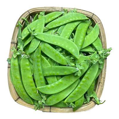 云南新鲜荷兰豆小荚豆现摘现发嫩荚豌豆角甜脆四季豆当季农家蔬菜
