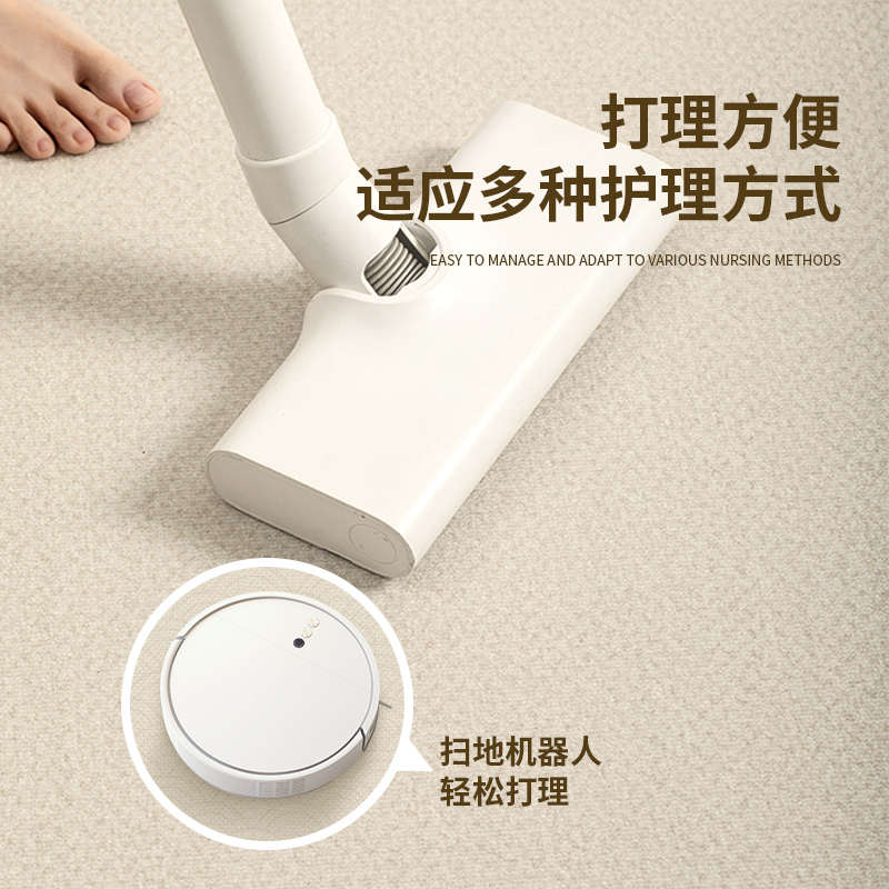 地毯客厅2025新款新中式轻奢高级感沙发茶几卧室花园家用全铺地垫