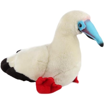 国家地理正品，假一罚十