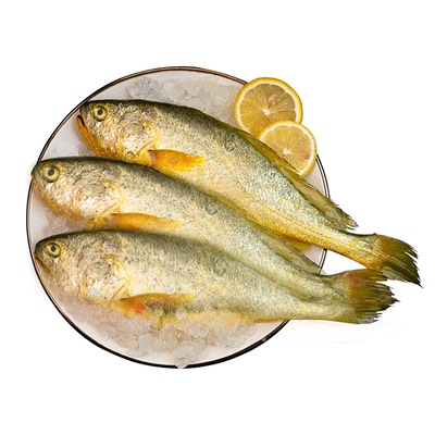 舟山大黄鱼礼盒装过节送礼顺丰发