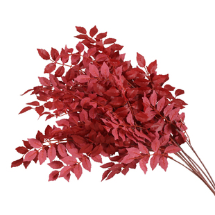 仿真高枝凌霄叶香槟色塑料假叶子婚礼堂酒店装饰路引插花打底配叶