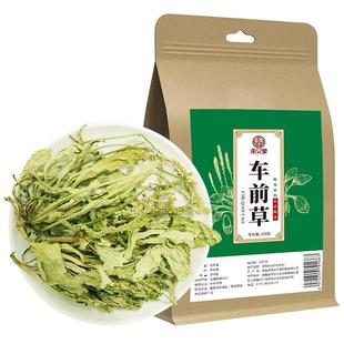 车前草新鲜干货搭尿酸茶中野生葯材降的功效与作用酸车前草袋泡茶
