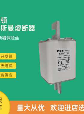 议价全新快速熔断器保险170M5110 170M5111 170M5112 170M5113