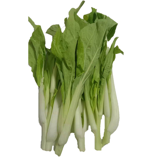 湖北新鲜白菜苔绿菜苔菜薹菜心绿色脆嫩应季蔬菜农家露天自种特产