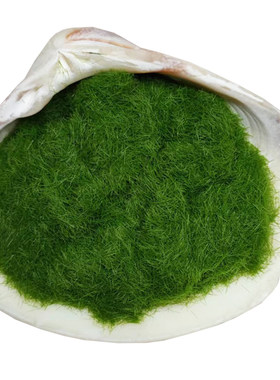 diy包邮草粉尼龙沙盘制作苔藓