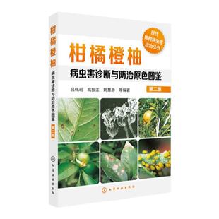 柑橘橙柚病虫害诊断与防治原色图鉴 第二版 砂糖橘橙子芦柑柚子树澳洲赣南脐橙果树栽培种植技术大全书籍 病虫害防治安全用药指导