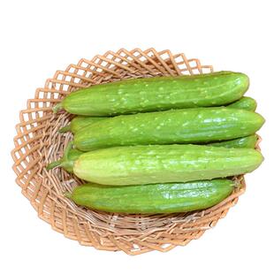 顺丰海阳白玉黄瓜嫩生吃小黄瓜新鲜水果富硒蔬菜孕妇整箱包邮