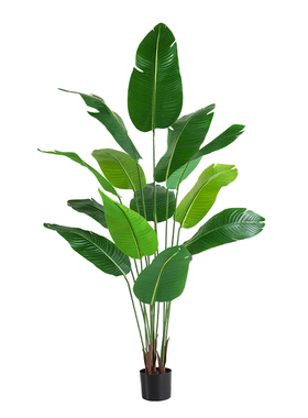 天堂鸟北欧ins风仿真绿植盆栽
