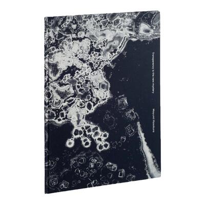 预售 Transparency Is The New Mystery Mayumi Hosokura 华源时空