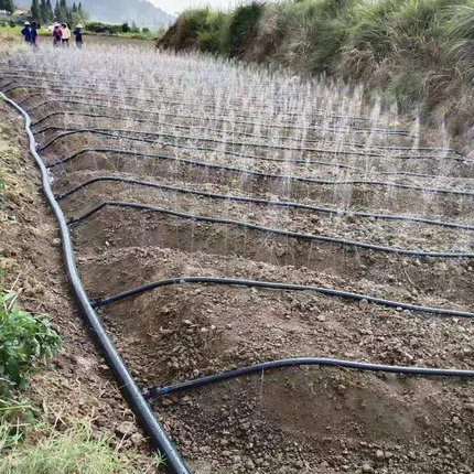 滴管农用滴灌带节水灌溉喷水农村管带微喷带浇地雾化水管浇水软管