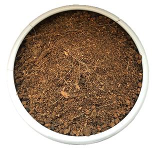 内门竹专用土内门竹土盆栽酸性沙质泥炭红土壤透气营养土种植肥料