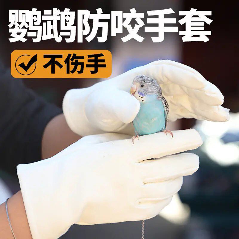 鹦鹉防咬手套专业灵活户外宠物店宠物防抓咬喂食天然麂皮防滑透气