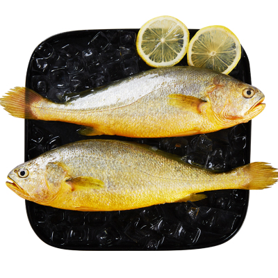 三都港速冻黄花鱼海鲜冷冻生鲜