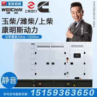 300 200 100 潍柴玉柴康明斯30kw50 500 1000千瓦柴油发电机组