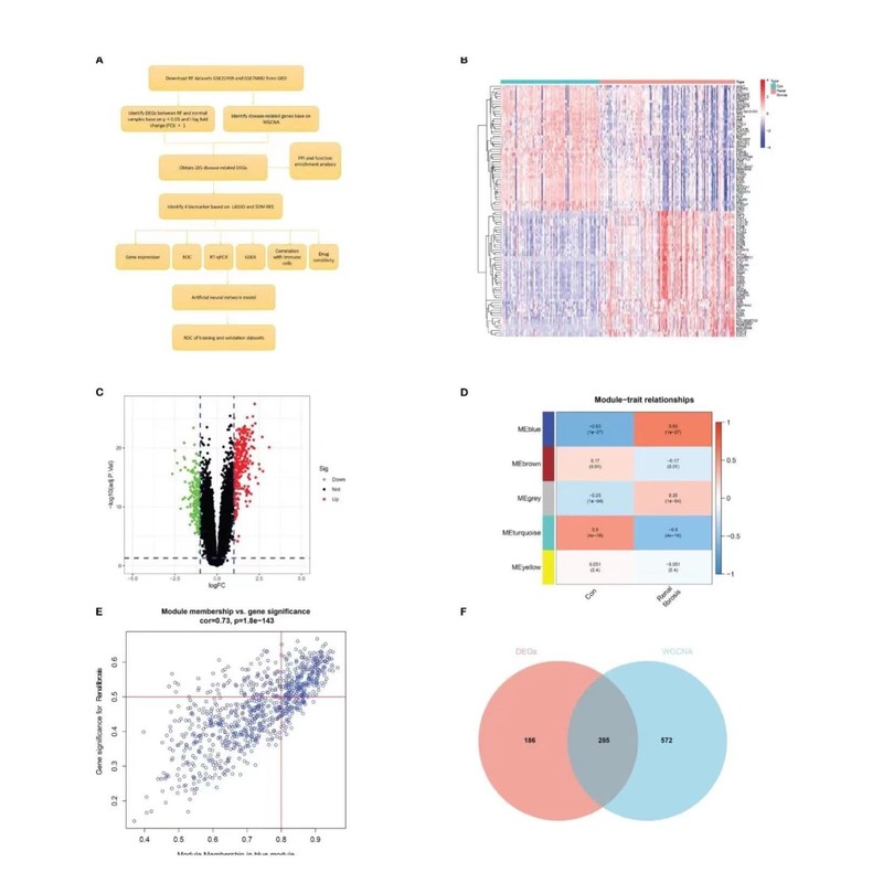 生信分析服务单细胞测序分析tcga/geo数据挖掘生信作图网络药理学
