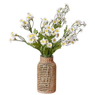 ins风草编玻璃花瓶日式藤编干花鲜花插花瓶花器家居客厅装饰摆件