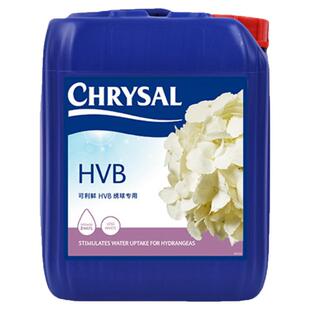 荷兰进口可利鲜保鲜剂促吸剂HVB5L促吸用绣球等木本吸水醒花液