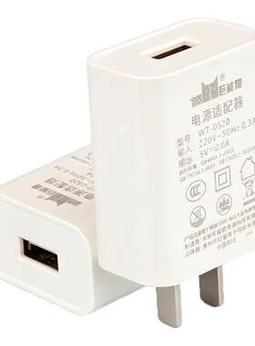 5V2A智能指纹锁电池专用充电器头