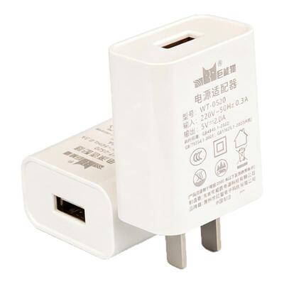 5V2A智能指纹锁电池专用充电器头